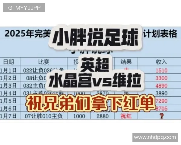 小胖足球员的成长故事与梦想追逐之路