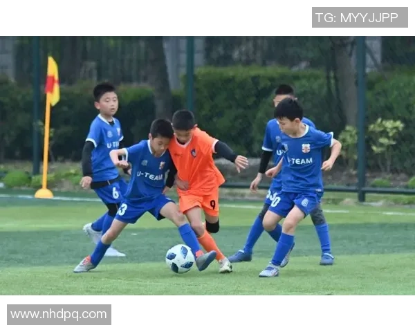 足球嘎嘎带你领略绿茵场上的激情与梦想，畅谈球员故事与赛事精彩瞬间